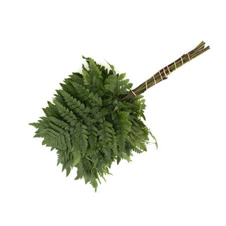 Leader Leaf (Pietruszka) Small Green 190gr 45cm x1x20